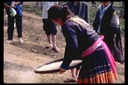 Hmong girl winnowing, Bua Chan, Thailand, 1986