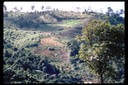 Dry swidden, slash & burn, Thailand, 1986
