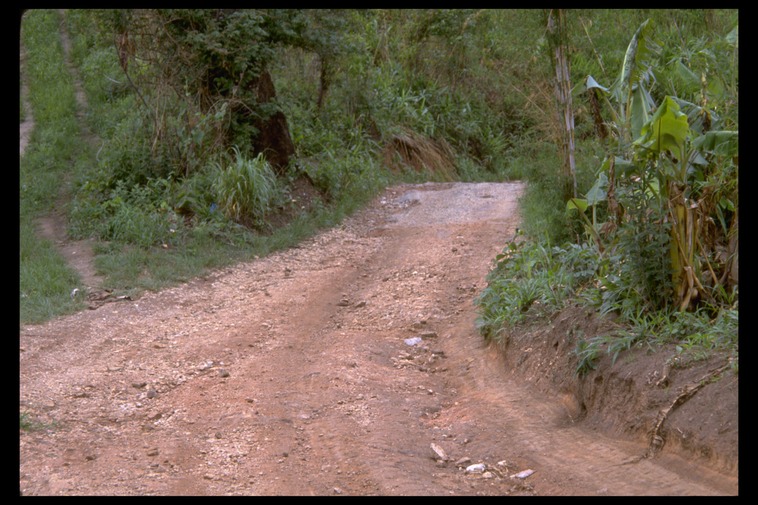 Road to a Hmong village, Thailand, 1986